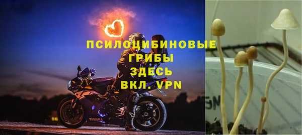 apvp Володарск