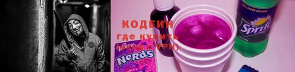 индика Новокубанск