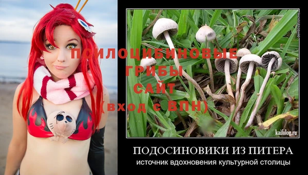 стафф Нея