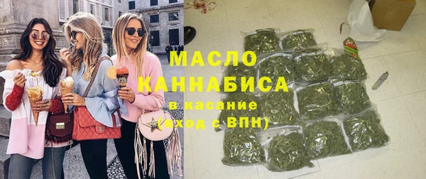 индика Новокубанск