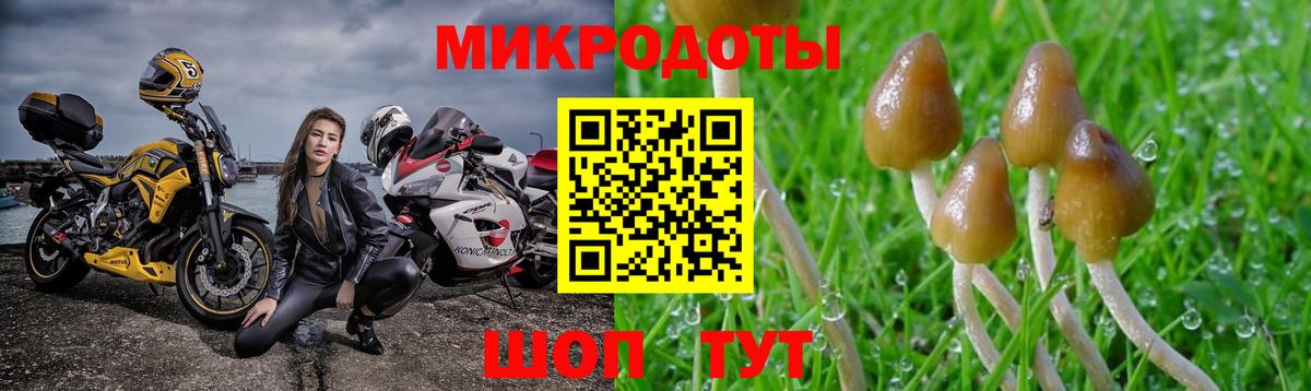 купить наркоту  Галлюциногенные грибы MAGIC MUSHROOMS  Вход с VPN  Истра 