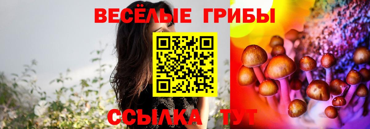 Меф мяу мяу Истра